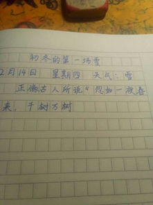 校園里的第一場雪400字作文怎么寫