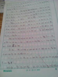 校園運動會作文400字六級作文600字