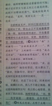 描寫校園的說明文作文400字