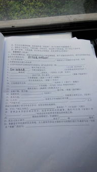 校園早晨的動靜結(jié)合寫一段作文