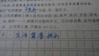 校園里的快樂生活作文80字