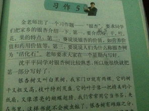 校園里的香樟樹作文300字,校園里的香樟樹作文三年級300字,寫校園的香樟樹的作文400字