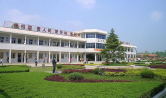 真美校園作文200字風景