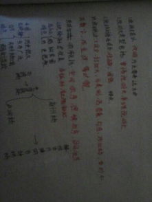 按瀏覽順序?qū)懳业男@作文300字