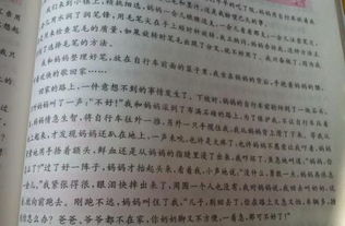 早晨的校園150字寫景作文