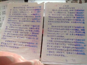 校園有趣的事作文300字,校園發(fā)生的事的作文300字三年級(jí),校園開心的事作文300字