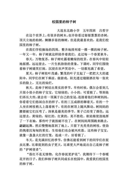 介紹校園市子樹的作文