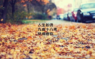 校園路上鋪滿落葉作文