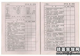 評(píng)語(yǔ)進(jìn)校園的作文600