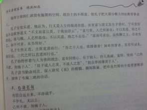 孔子,作文,廣場,校園