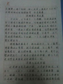 美麗的校園作文有小標(biāo)題