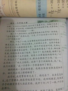 寫校園榆樹(shù)的作文400字