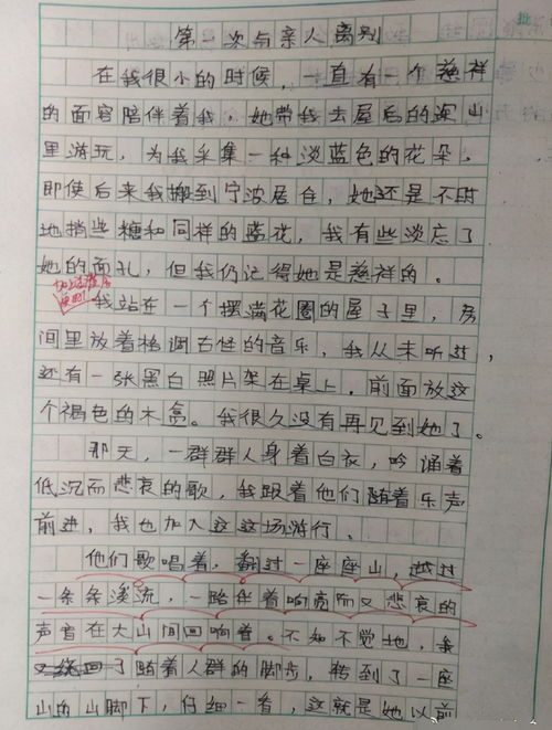 小學生作文我為校園做點事