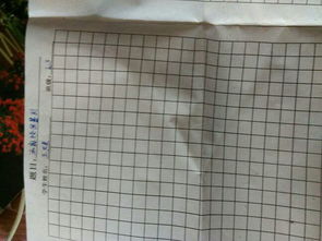 關于校園暴力作文200字