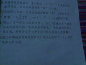 與校園道德建設有關的作文600字