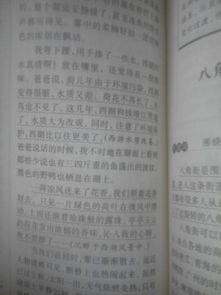 校園里快樂的一天200字作文