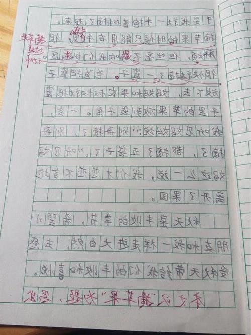 我們的校園優(yōu)秀作文三級(jí)