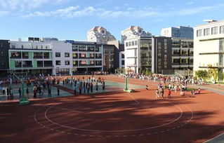 實驗小學校園一角作文怎么寫,濱?？h實驗小學作文校園一角,實驗小學作文校園一角500字