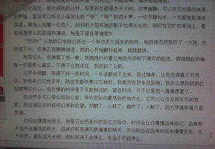 小學(xué)校園時光的作文600字