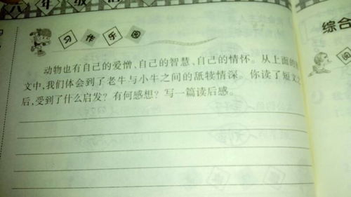校園里的苦250字作文怎么寫