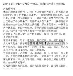 西臺(tái)小學(xué)校園導(dǎo)游詞作文500