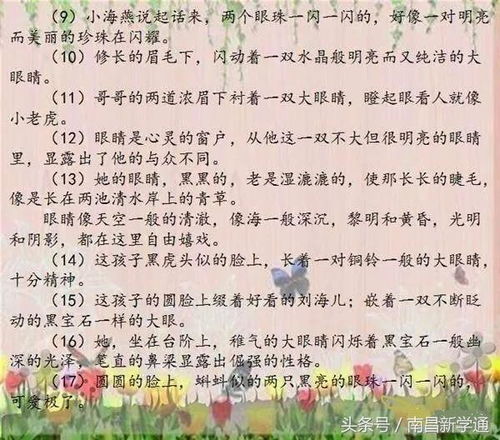 關于人物的校園作文