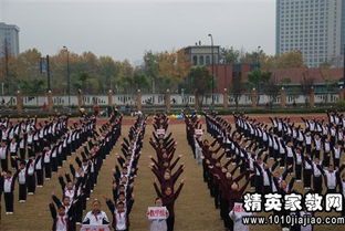 多彩的校園作文運(yùn)動(dòng)會(huì)