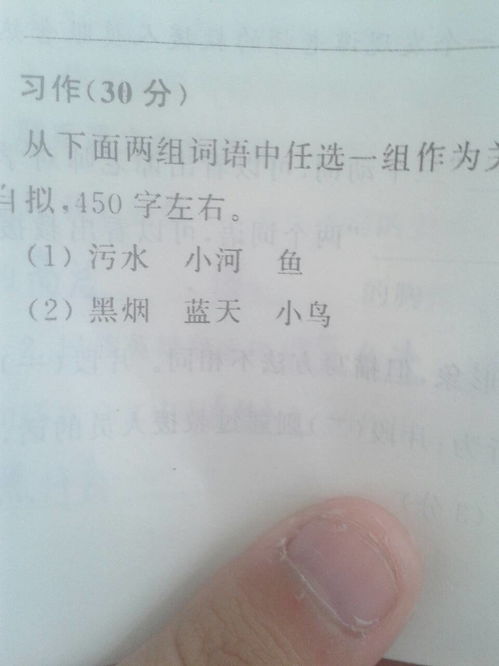 關(guān)于校園環(huán)境描寫的作文500