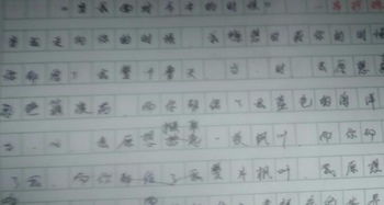 校園里的一處風(fēng)景線650字的作文