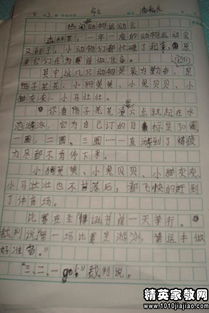 寫一篇關(guān)于運動會的一篇作文,寫一篇校園運動會的作文,如何寫校園運動會作文
