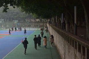 作文,結(jié)尾,運(yùn)動(dòng),校園