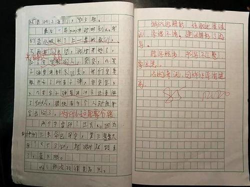 欺凌,作文,評(píng)語(yǔ),抵制