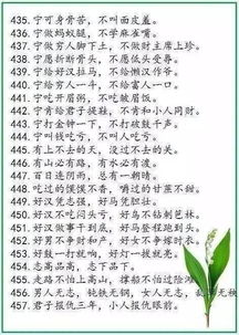 寫校園后花園里樹木的作文