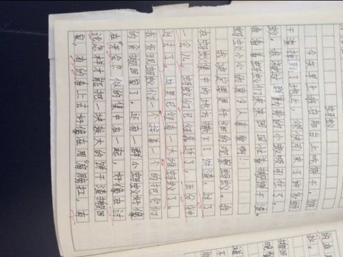愛護(hù)校園環(huán)境作文400字左右,愛護(hù)校園的一草一木作文400字,愛護(hù)校園從我做起作文400字