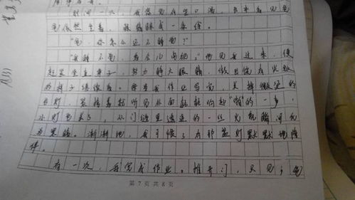 校園的記憶作文600字初三