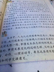 校園晨曲400字作文
