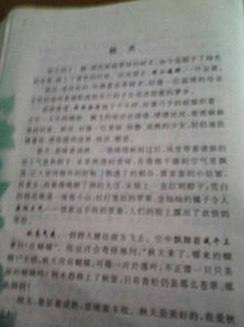 描寫秋天作文600字校園