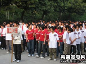 校園新聞的作文運(yùn)動(dòng)會(huì)