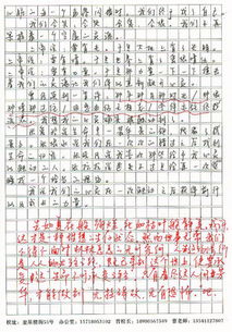 心靈被什么觸動的作文校園
