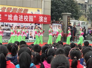 襄陽市荊州街下學(xué)校園作文