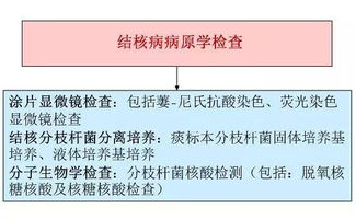 小孩結(jié)核菌素試驗(yàn)注意事項(xiàng)