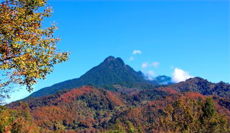 爬泰山注意事項,五指山養(yǎng)殖方法和注意事項,爬華山注意事項