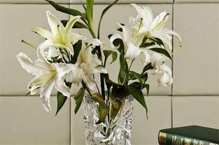 水養(yǎng)百合花注意事項(xiàng)