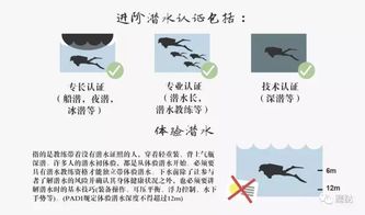下級(jí),表揚(yáng),注意事項(xiàng)