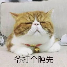 后院,注意事項(xiàng)