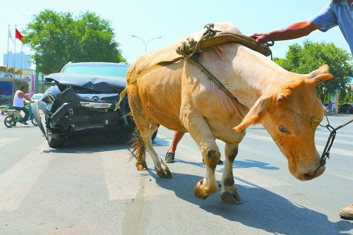 賣(mài)車(chē)給黃牛注意事項(xiàng)