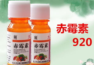 920赤霉酸的注意事項(xiàng),赤霉酸的使用方法及注意事項(xiàng),梨涂抹赤霉酸的注意事項(xiàng)