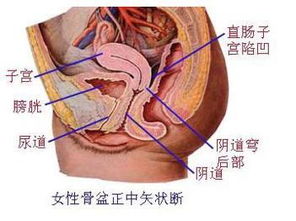 盆腔積液檢查前注意事項(xiàng),盆腔積液的注意事項(xiàng),盆腔積液術(shù)后注意事項(xiàng)