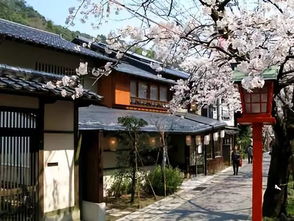要注意,日本,事項(xiàng),旅游