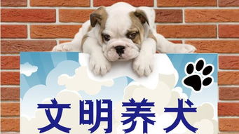 養(yǎng)狗的注意事項(xiàng),過敏性鼻炎養(yǎng)狗注意事項(xiàng),孕婦養(yǎng)狗注意事項(xiàng)